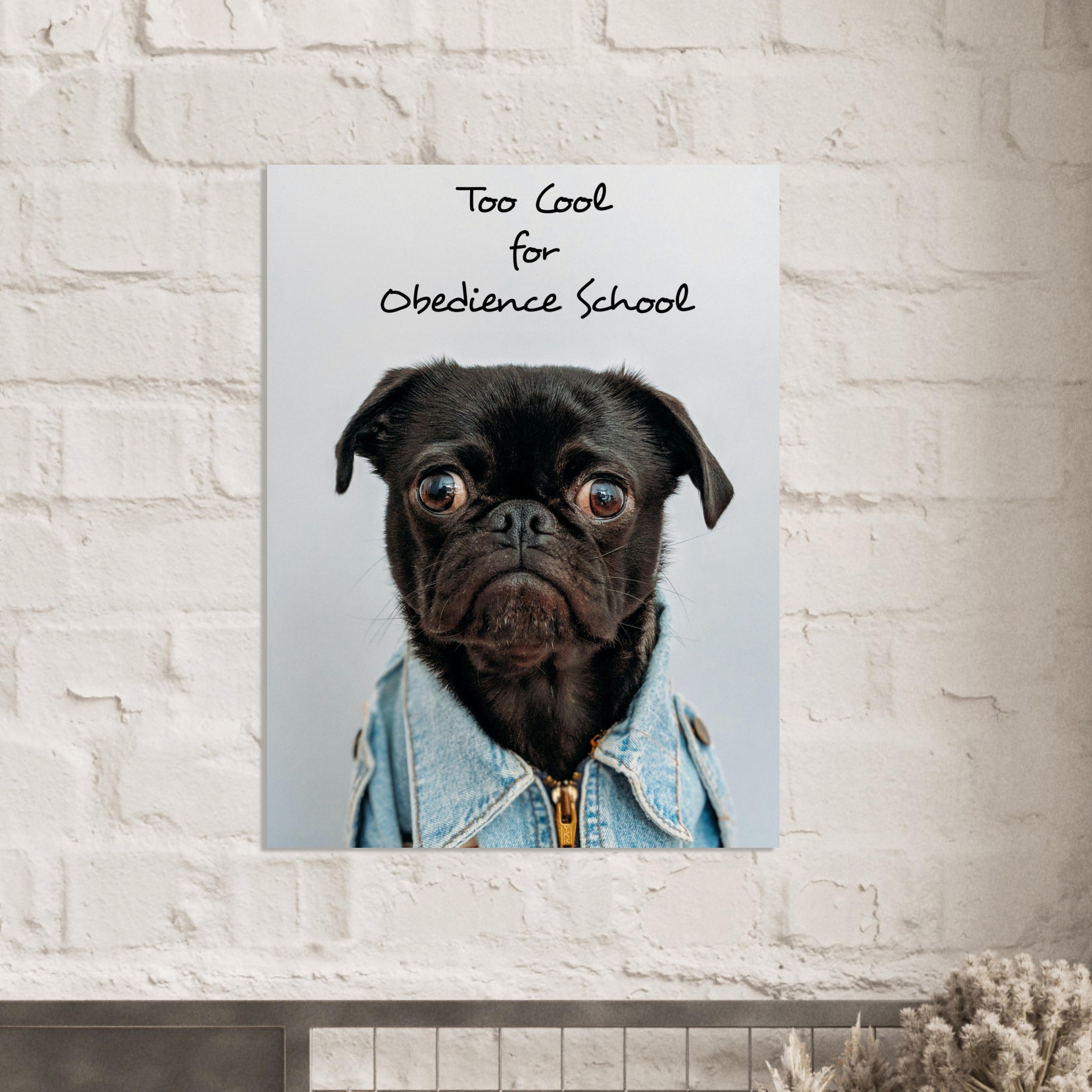 Cool Dog – Premium Semi-Glossy Paper Poster | LPD WallArt